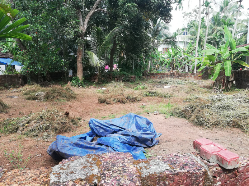  Residential Plot 8 Cent for Sale in Dharmadom, Kannur