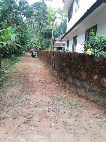  Residential Plot 8 Cent for Sale in Dharmadom, Kannur