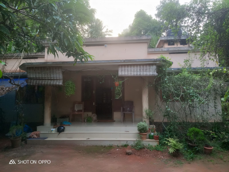 3 BHK House 17 Cent for Sale in Mala, Thrissur