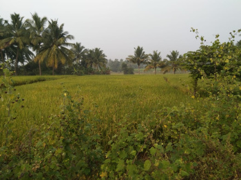  Residential Plot for Sale in Kanjikovil, Erode