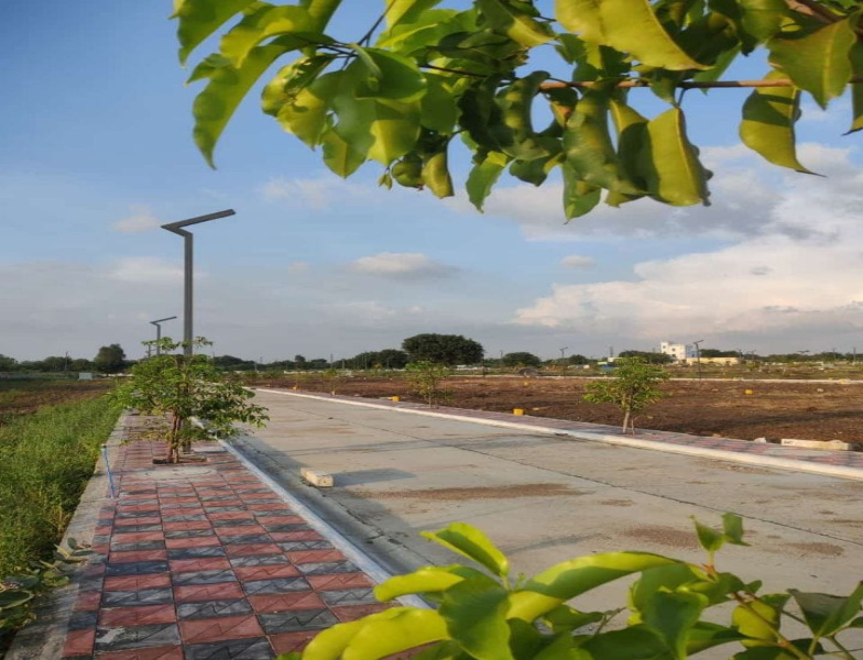  Residential Plot 200 Sq. Yards for Sale in Shankarpally, Rangareddy