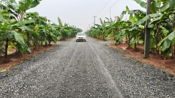 Agricultural Land for Sale in Cheyyur, Chengalpattu