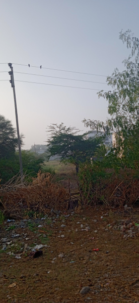  Residential Plot 1 Bigha for Sale in Dabok, Udaipur