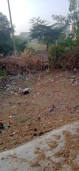  Agricultural Land 18314 Sq.ft. for Sale in Dabok, Udaipur