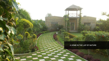  Agricultural Land for Sale in Sector 135 Noida