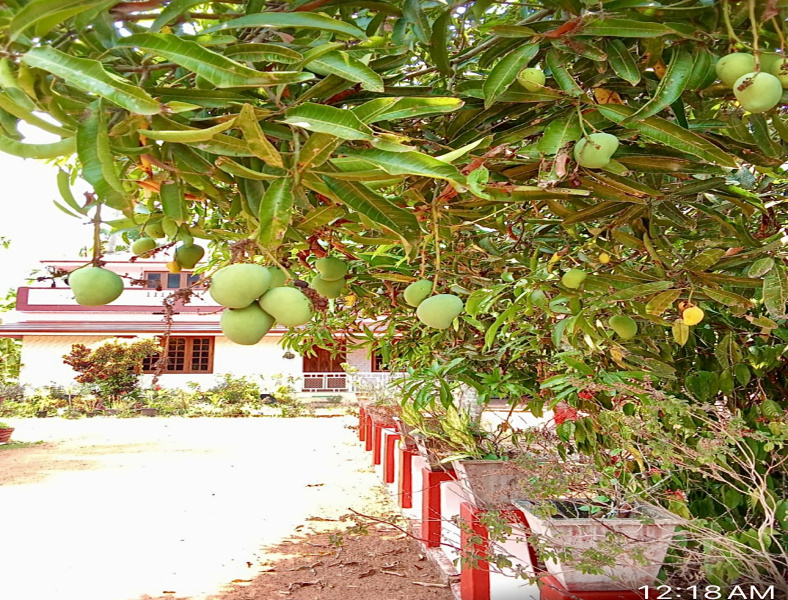 5 BHK House 2500 Sq.ft. for Sale in Thaikkad, Thrissur