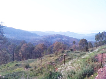  Residential Plot for Sale in Katarmal, Almora