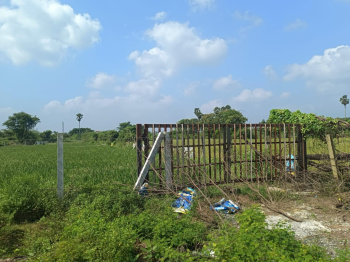  Agricultural Land for Sale in Kattankulathur, Chennai