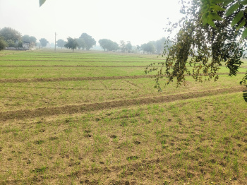  Residential Plot for Sale in Fatehabad Road, Agra