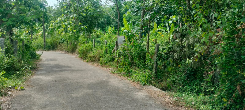  Residential Plot 18 Cent for Sale in Marthandam, Kanyakumari
