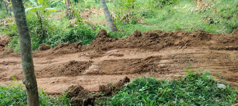  Residential Plot 18 Cent for Sale in Marthandam, Kanyakumari