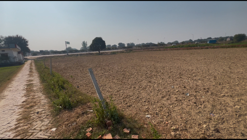  Agricultural Land 22 Biswa for Sale in Baksha, Jaunpur