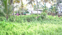 Residential Plot for Sale in Netoor, Kochi