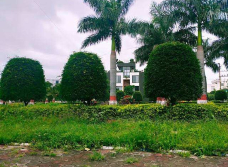  Residential Plot 1100 Sq.ft. for Sale in Bhawrasla, Indore