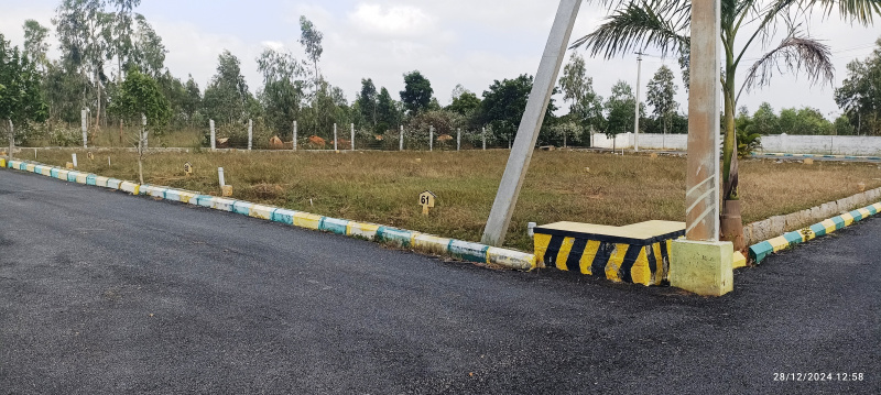  1500 Sq.ft. Residential Plot for Sale in Vemagal, Kolar