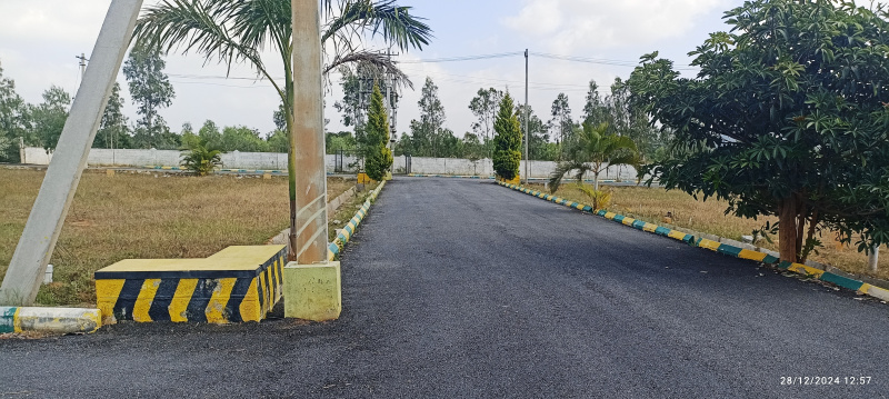  1500 Sq.ft. Residential Plot for Sale in Vemagal, Kolar