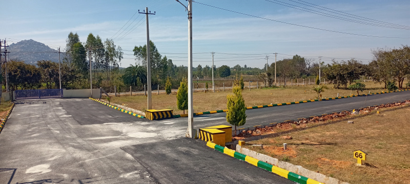  Residential Plot 1331 Sq.ft. for Sale in Vemagal, Kolar