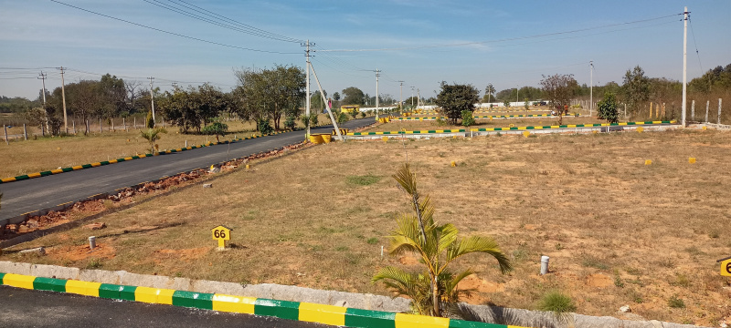  Residential Plot 1331 Sq.ft. for Sale in Vemagal, Kolar