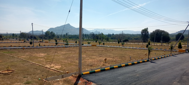  Residential Plot 1500 Sq.ft. for Sale in Vemagal, Kolar