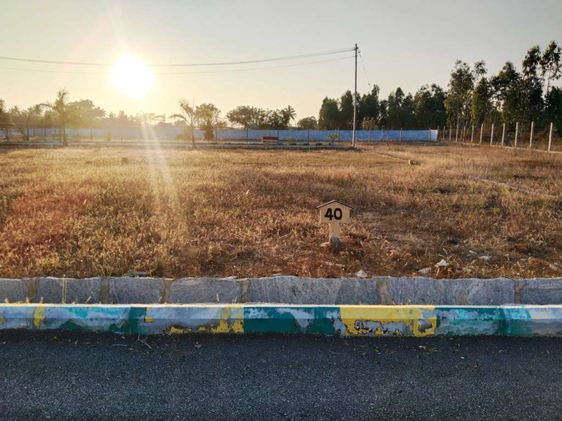  Residential Plot 2375 Sq.ft. for Sale in Vemagal, Kolar