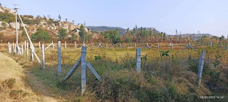  Residential Plot 7 Guntha for Sale in Kolar Road, Bangalore