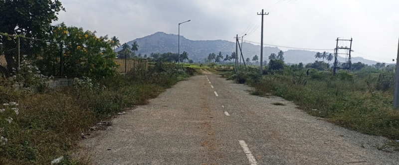  Residential Plot 581 Sq.ft. for Sale in Narsapura, Kolar