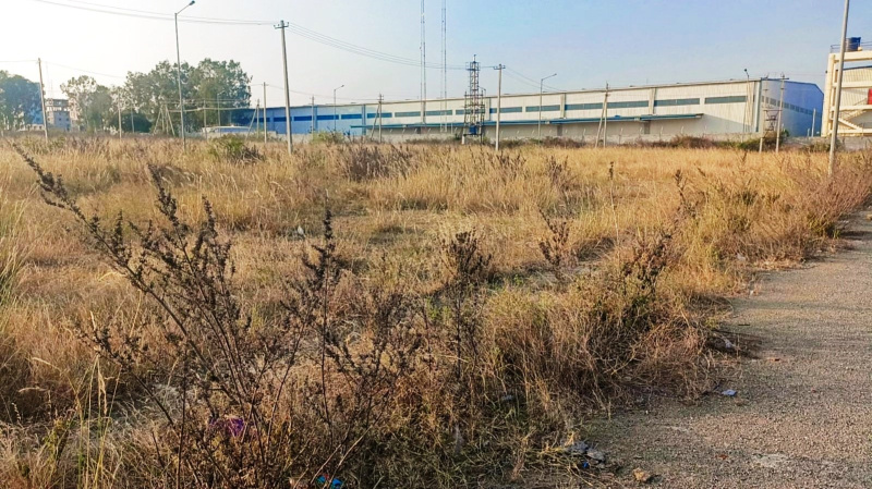  Residential Plot 581 Sq.ft. for Sale in Narsapura, Kolar