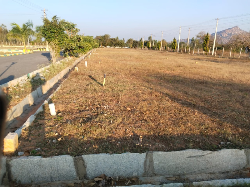  Commercial Land 1200 Sq.ft. for Sale in Vemagal, Kolar