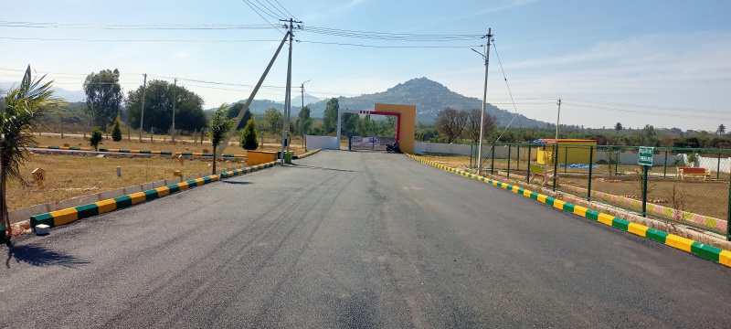  Residential Plot 1200 Sq.ft. for Sale in Vemagal, Kolar
