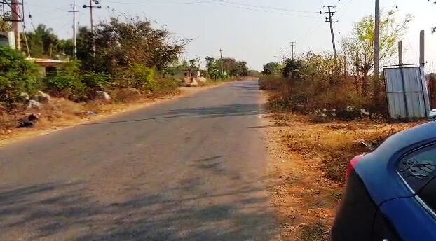  Agricultural Land 5 Acre for Sale in Vemagal, Kolar