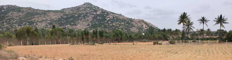  Industrial Land 5 Acre for Sale in Narasapura, Kolar