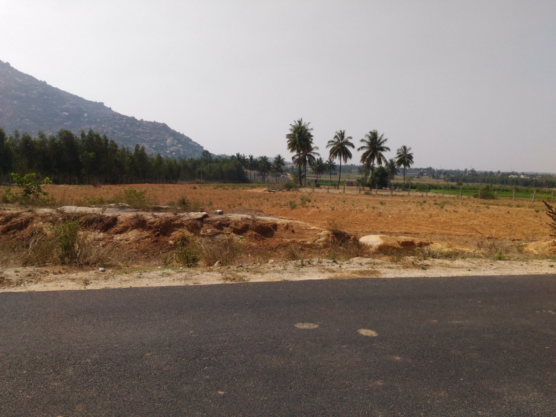  Industrial Land 5 Acre for Sale in Narasapura, Kolar