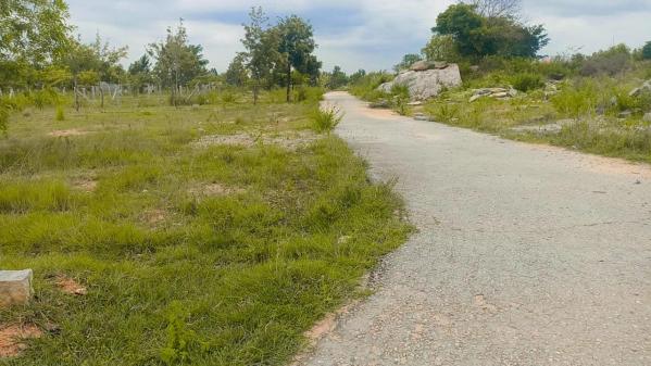  1700 Sq.ft. Residential Plot for Sale in Vemagal, Kolar