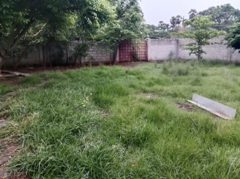  Agricultural Land for Rent in Red Hills, Chennai