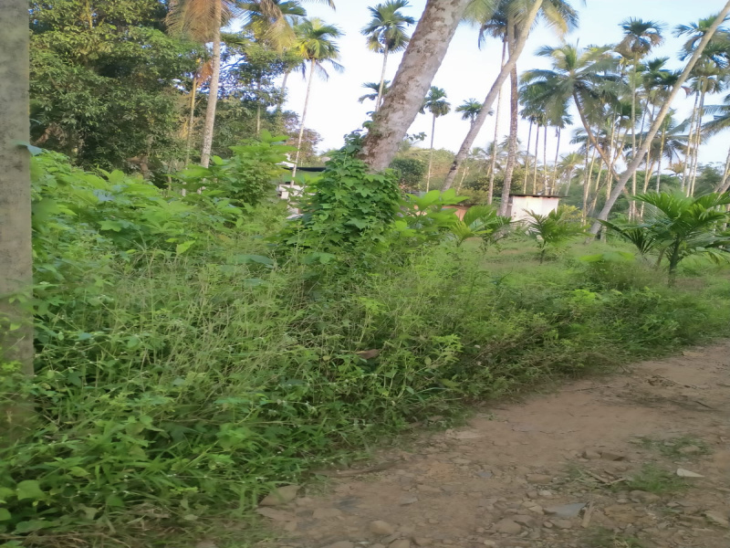  Residential Plot 7 Cent for Sale in Mukkam, Kozhikode