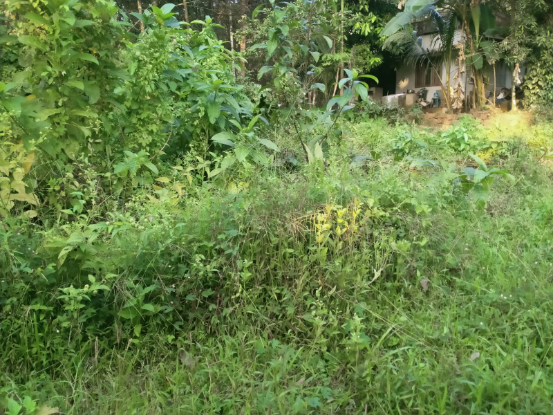  Residential Plot 7 Cent for Sale in Mukkam, Kozhikode