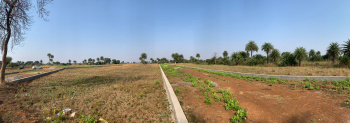  Residential Plot for Sale in Mandir Hasaud, Raipur