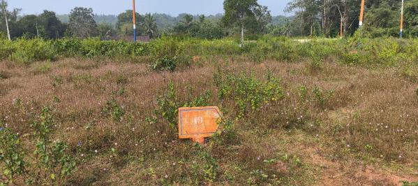  Residential Plot 2400 Sq.ft. for Sale in Sagara, Shimoga