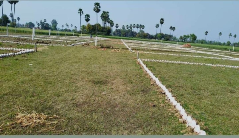  Residential Plot 1200 Sq.ft. for Sale in Bihta, Patna