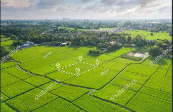  Residential Plot for Sale in Kamal Vihar, Raipur