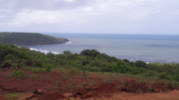  Residential Plot for Sale in Dapoli, Ratnagiri