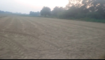  Agricultural Land for Sale in Pakadi Najaupur, Ambedkar Nagar