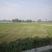  Agricultural Land for Sale in Rahui, Nalanda