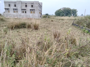  Residential Plot for Sale in Khalikote, Ganjam