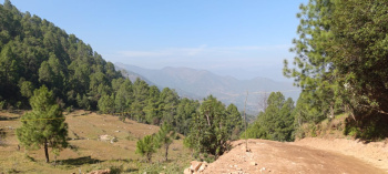  Residential Plot for Sale in Kausani, Almora