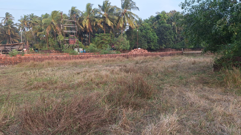  Residential Plot 2210 Sq.ft. for Sale in Malwan, Sindhudurg