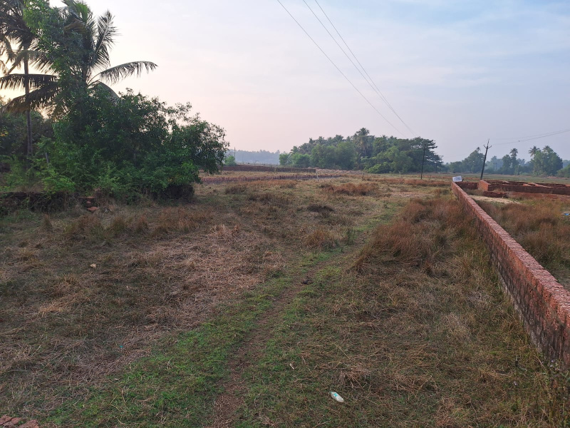  Residential Plot 2210 Sq.ft. for Sale in Malwan, Sindhudurg