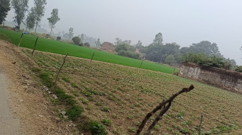  Agricultural Land for Sale in Tanda, Ambedkar Nagar