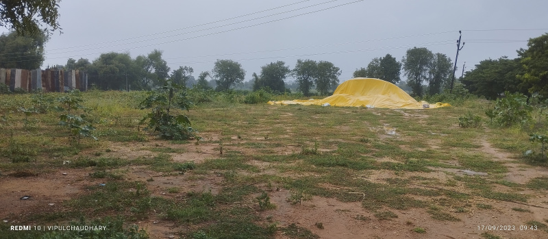  Agricultural Land 8 Bigha for Rent in Palanpur, Banaskantha