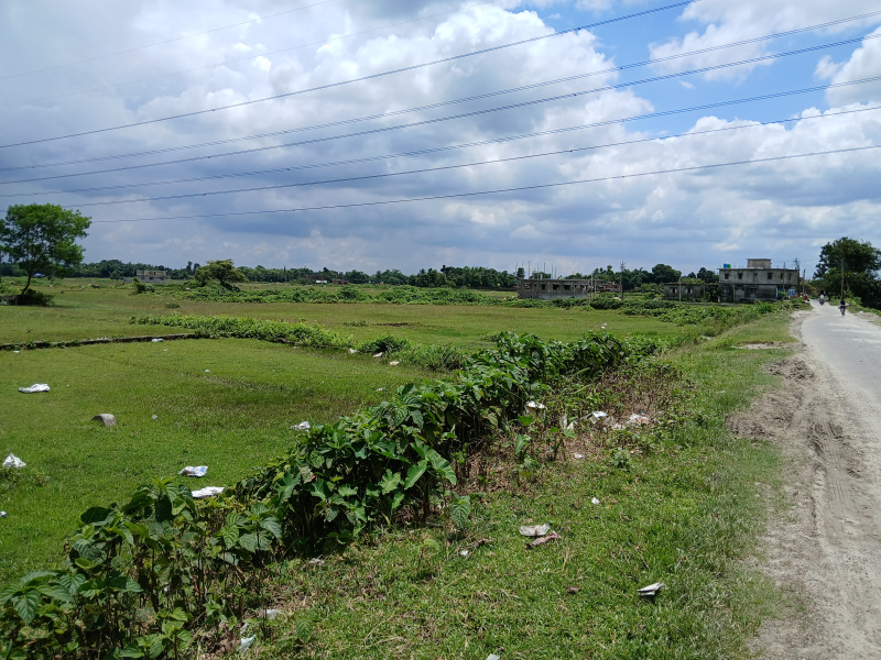  Residential Plot 1500 Sq.ft. for Sale in Ranidanga, Siliguri